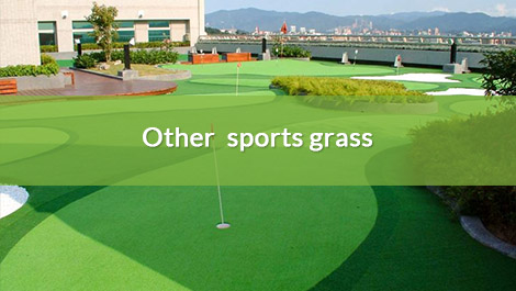 Other sports grass