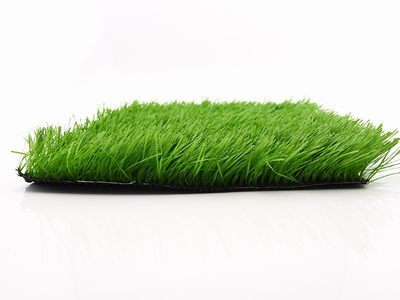 Stem Football Grass