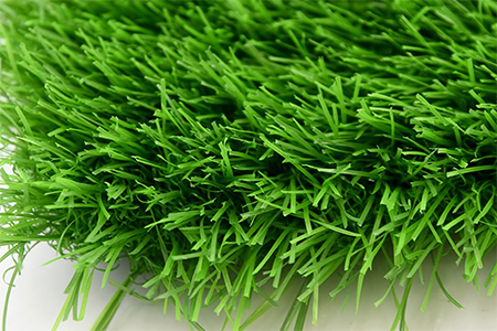 The network department of Qingdao Xiangsheng Artificial Turf Co., Ltd. was formally established