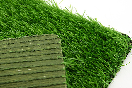 Grass--Artificial Grass